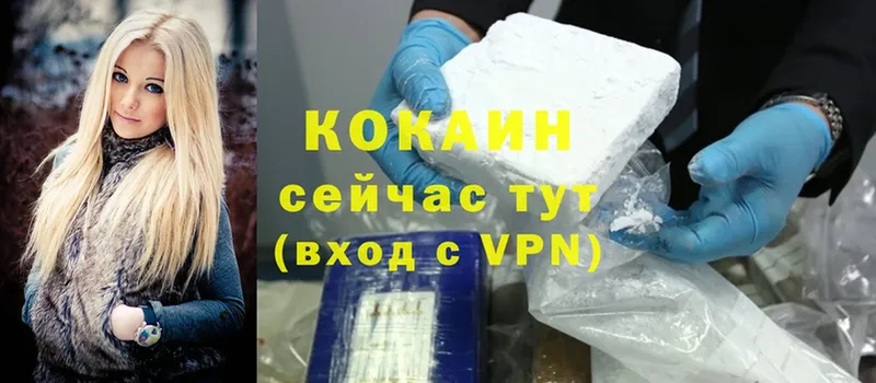 где найти наркотики  Александров  omg как войти  Cocaine 98% 